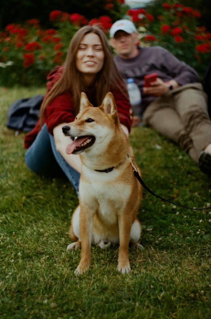 Pet’s Wellness
