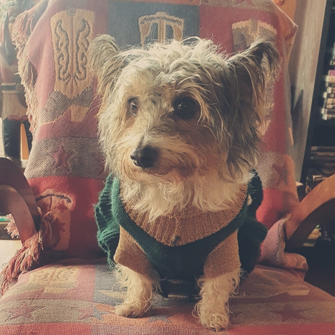 A Fleamail member pet