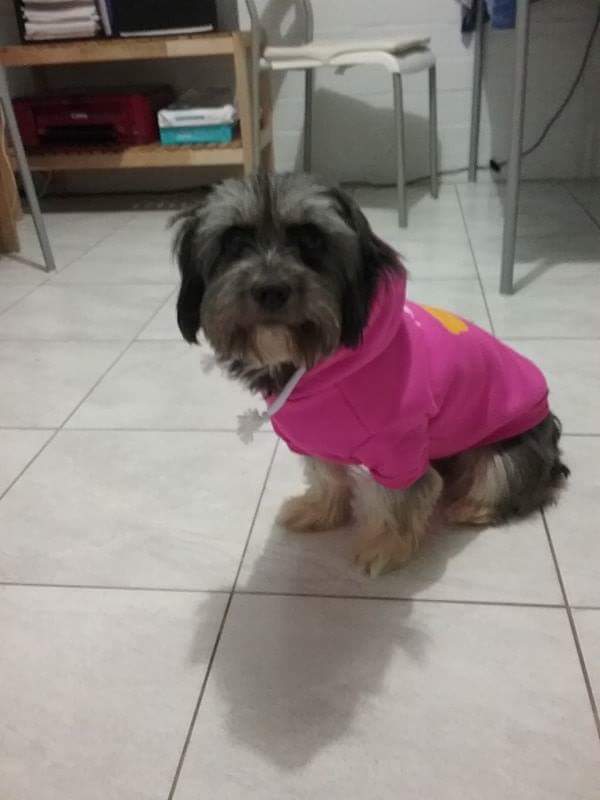 A Fleamail member pet