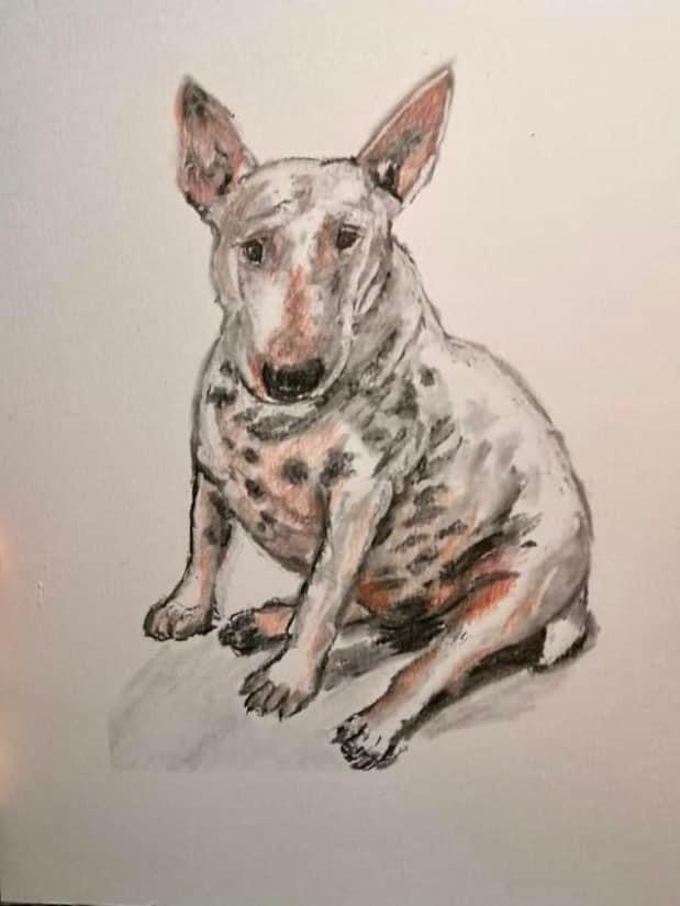 A Fleamail member pet